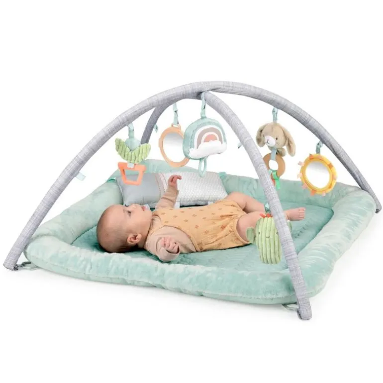 Calm Springs Plush Activity Gym - Chic Boutique