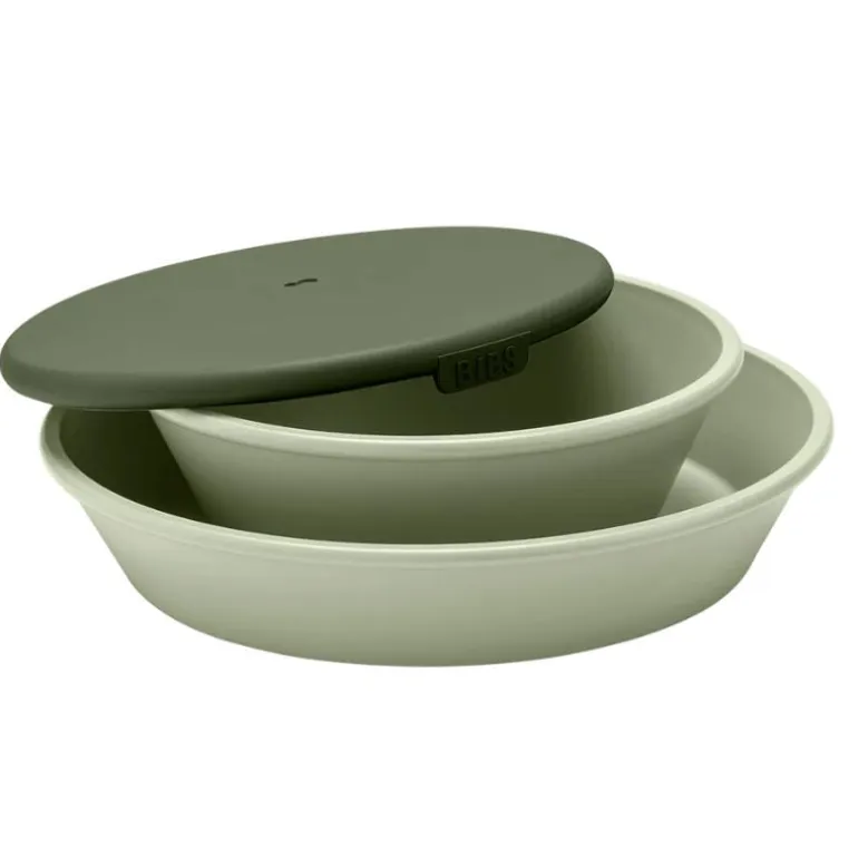 Dinner Plate Set