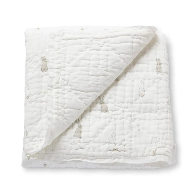 Hatchlings Blanket