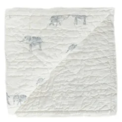 Hatchlings Blanket