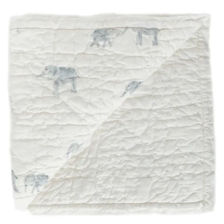 Hatchlings Blanket