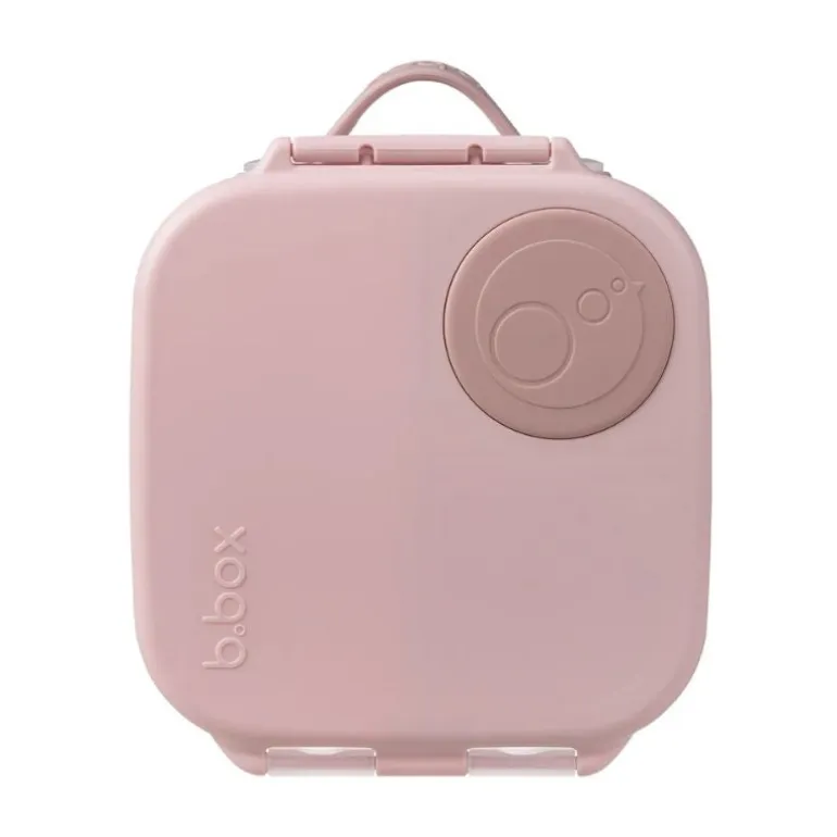 Mini Lunchbox