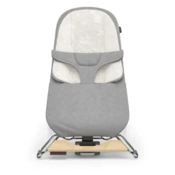 Mira 2-in-1 Bouncer and Seat
