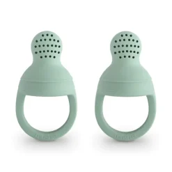 Silicone Fresh Food Feeder - 2 Pack