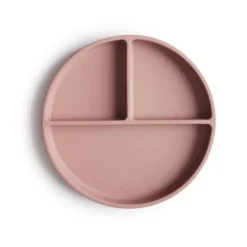Silicone Suction Plate