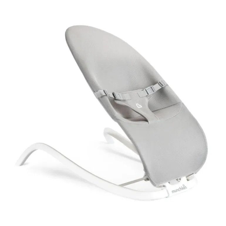 Spring 2-in-1 Bouncer & Rocker