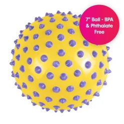 The Original Sensory Ball